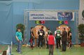 20140222-Bulifinale (110)